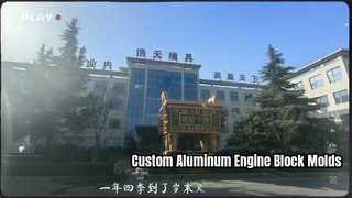 자동차 부품용 OEM 알루미늄 엔진 블록 금형